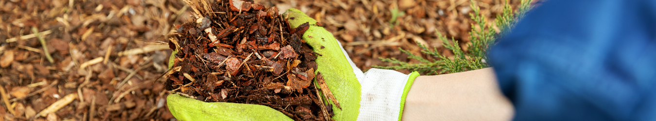 Mulch