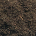 amended-topsoil-50-50